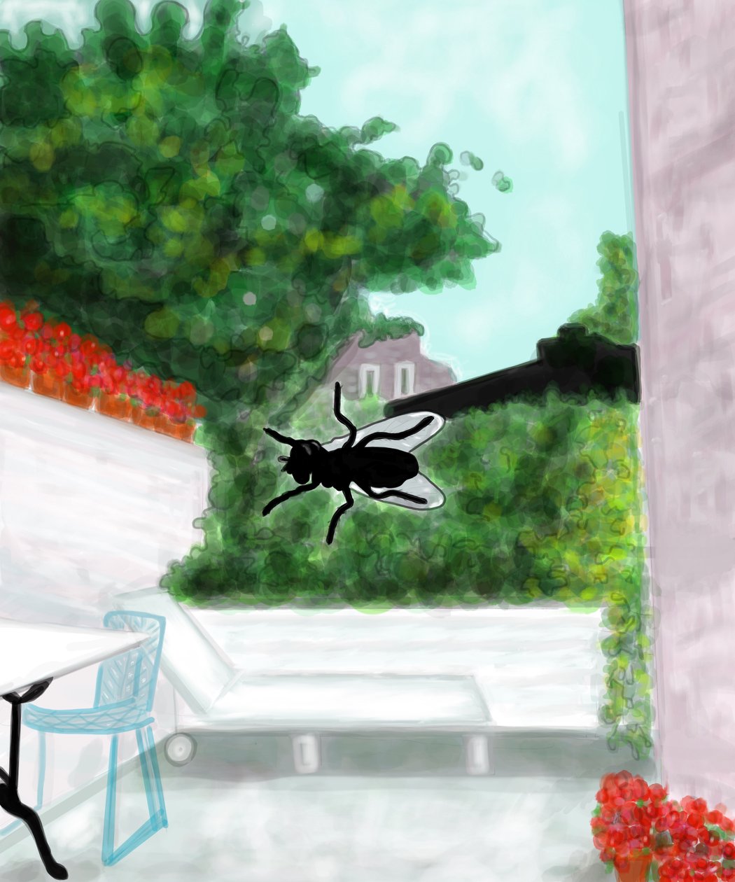 Fly On Window, Brooklyn (digitální umění) od Evan Sklar