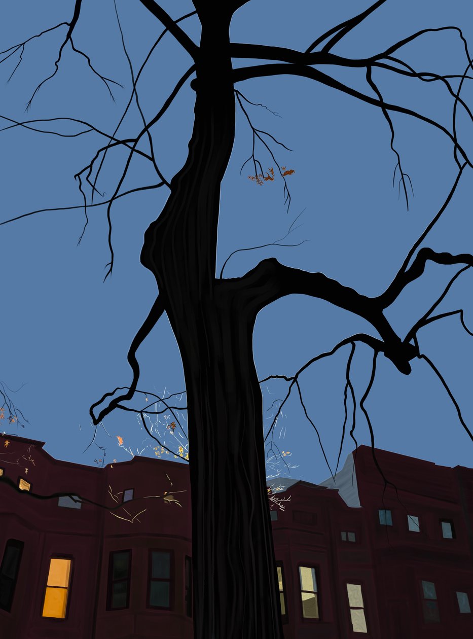 Domy a stromy v noci, Brooklyn. (digitální umění) od Evan Sklar