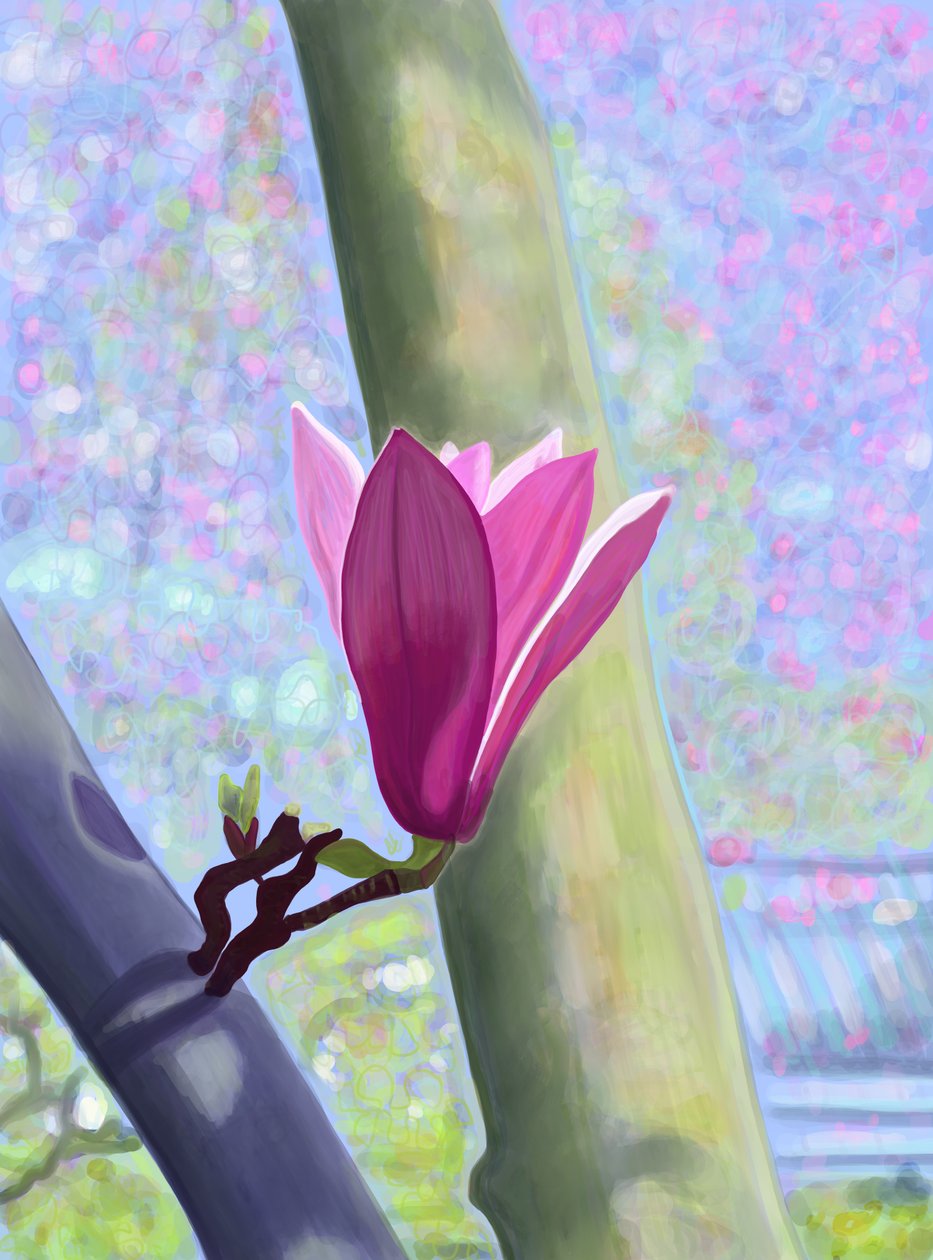 Magnolia Blossom (digitální umění) od Evan Sklar