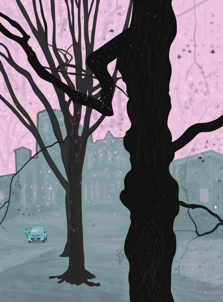 Starý strom, starý dům a auto, Brooklyn (digitální umění) od Evan Sklar