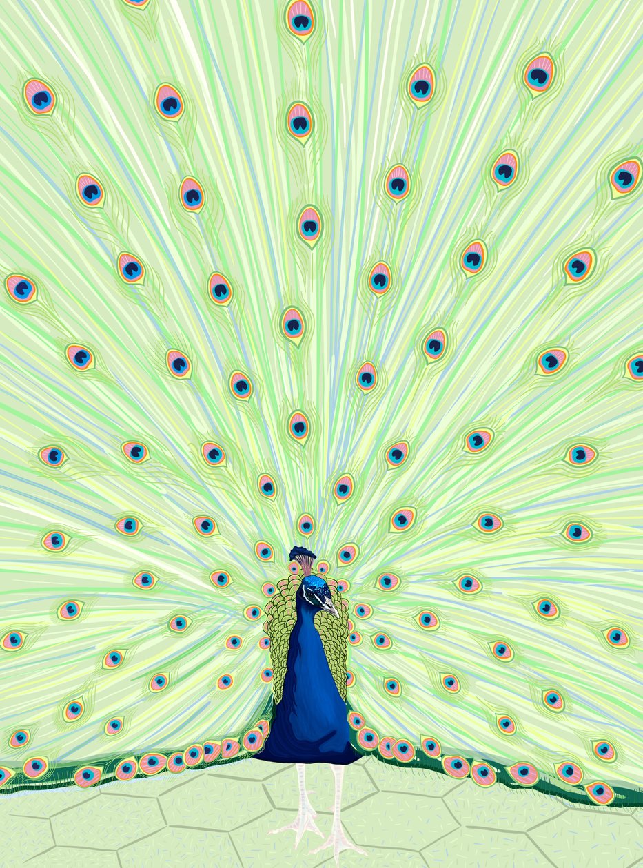 Peacock, 2025 (digitální umění) od Evan Sklar