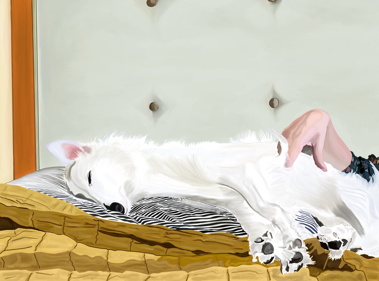 Penny On Yellow Comforter, Brooklyn (digitální umění) od Evan Sklar
