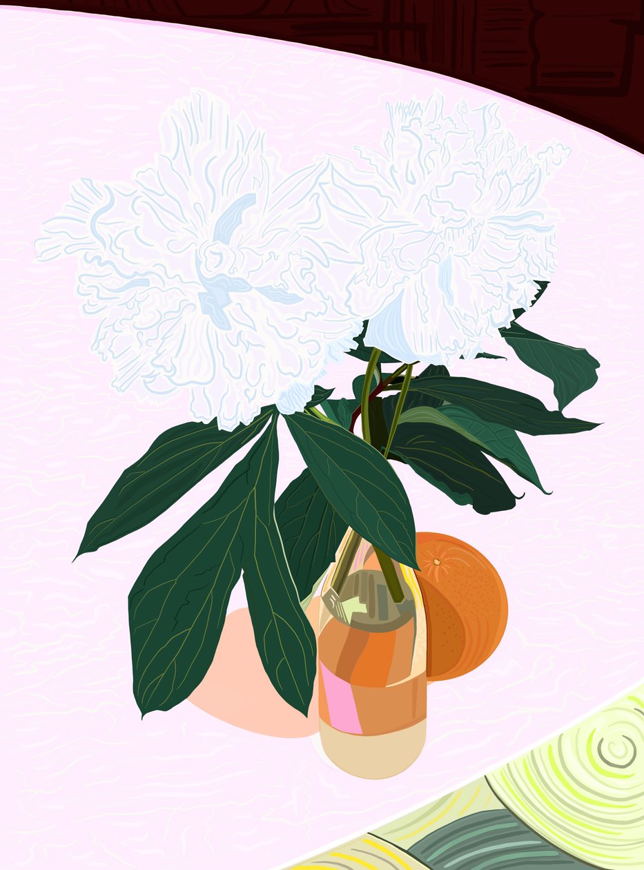 Pivoňka a grapefruit, cca 2020-24 (digitální umění) od Evan Sklar