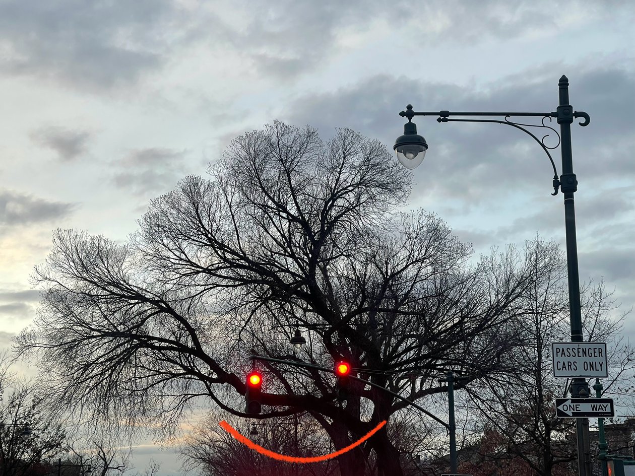 Usmívající se strom a semafory. Brooklyn (digitální umění) od Evan Sklar