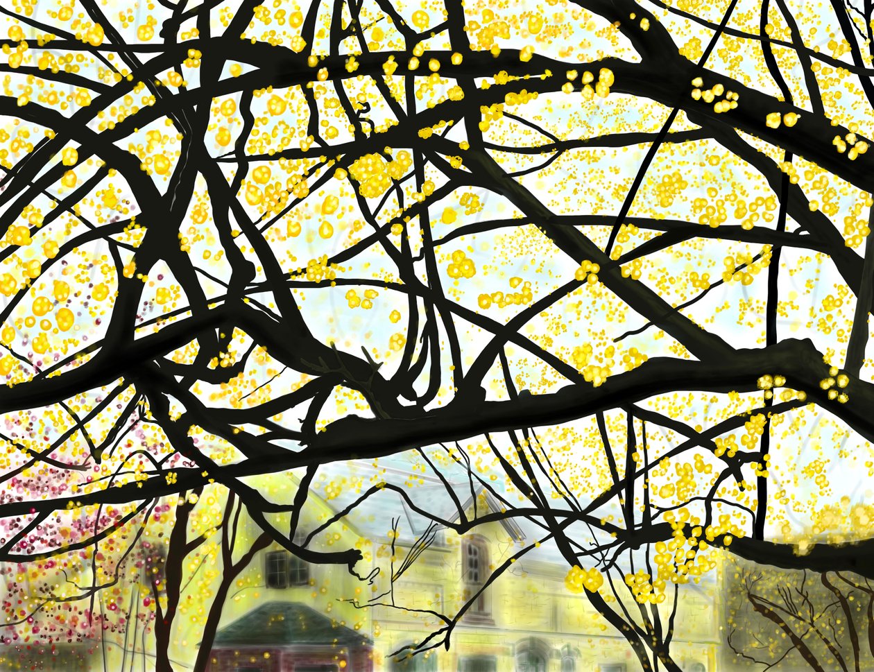 Žlutý kvetoucí strom, Brooklyn (digitální umění) od Evan Sklar