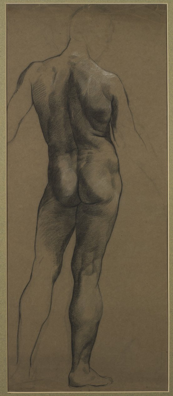 Studie mužského aktu (černá a bílá křída na hnědém papíře) od Evelyn De Morgan