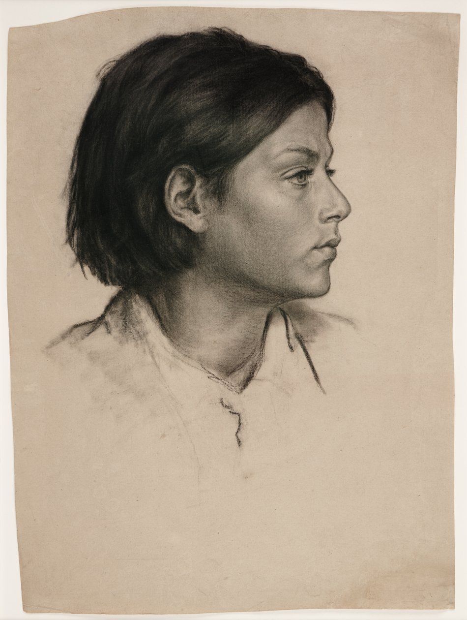 Hlava ženy, asi 1875 (uhel na papíře) od Evelyn De Morgan
