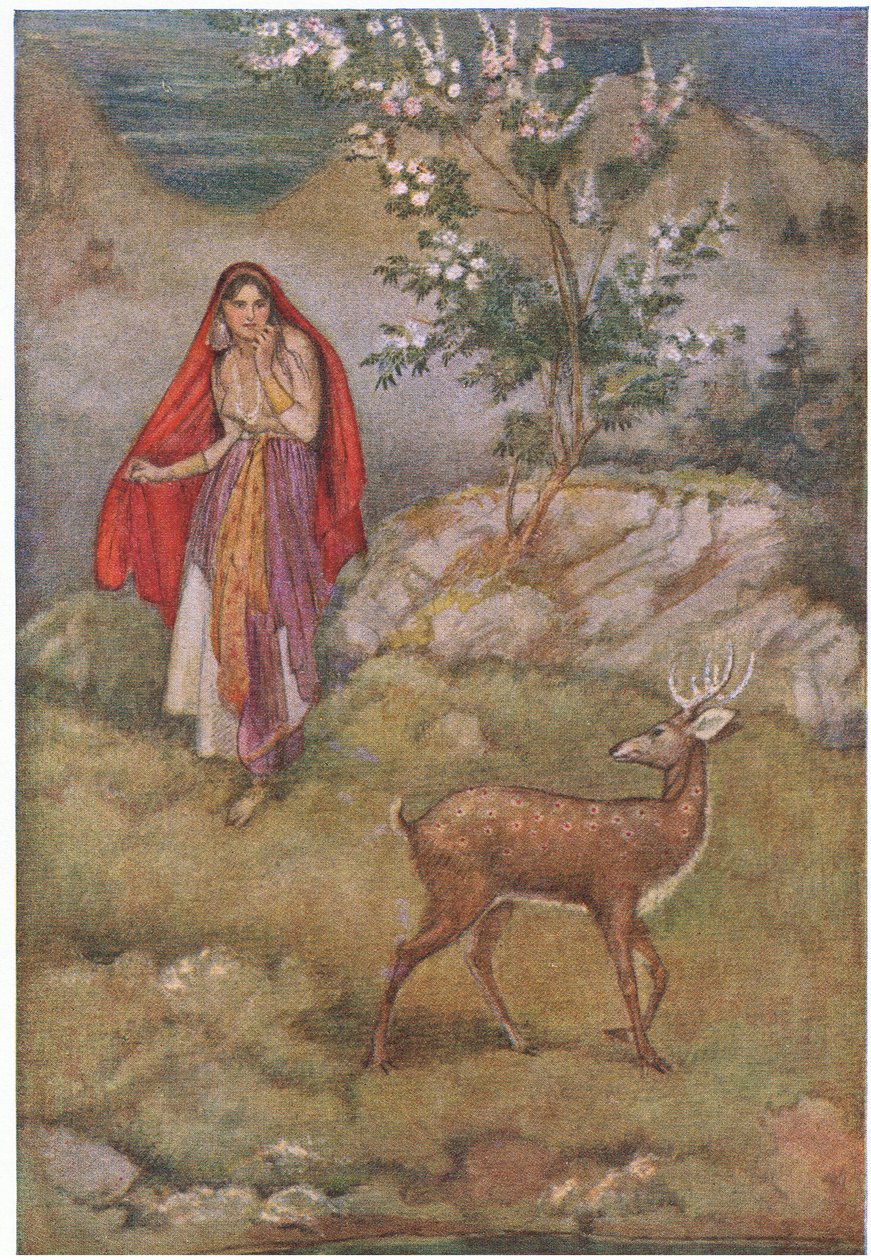 Ohromeně spatřila kouzelného jelena od Evelyn Paul
