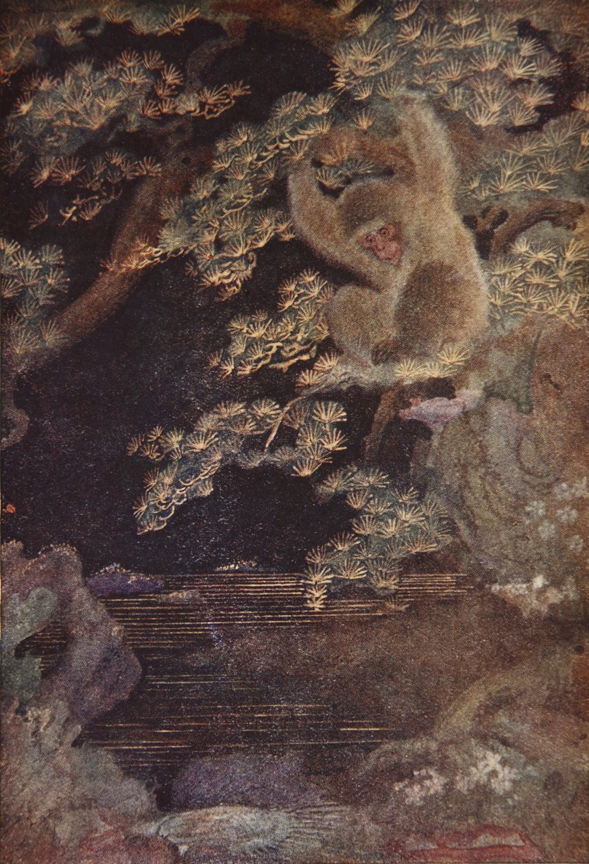 Medúza a opice, ilustrace z 