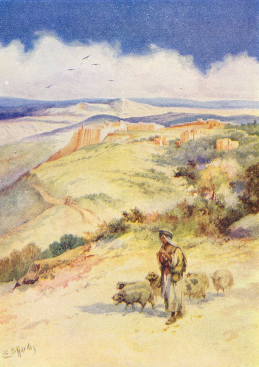  od Evelyn Stuart Hardy