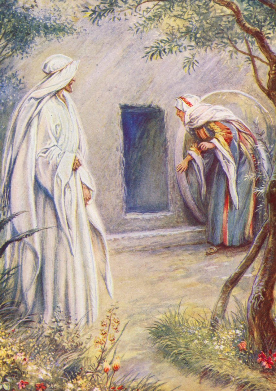  od Evelyn Stuart Hardy