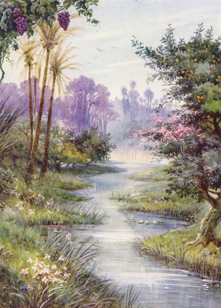  od Evelyn Stuart Hardy