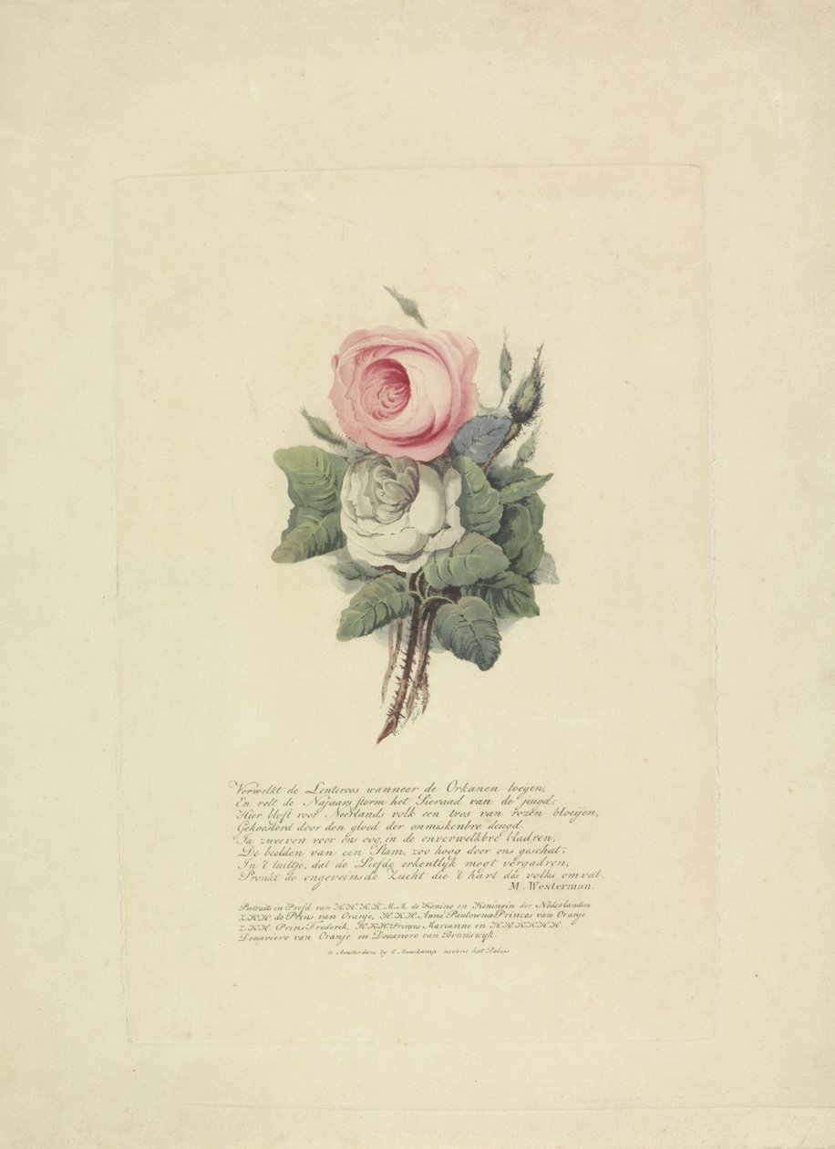 Růže se siluetami královské rodiny, 1816 od Evert Maaskamp