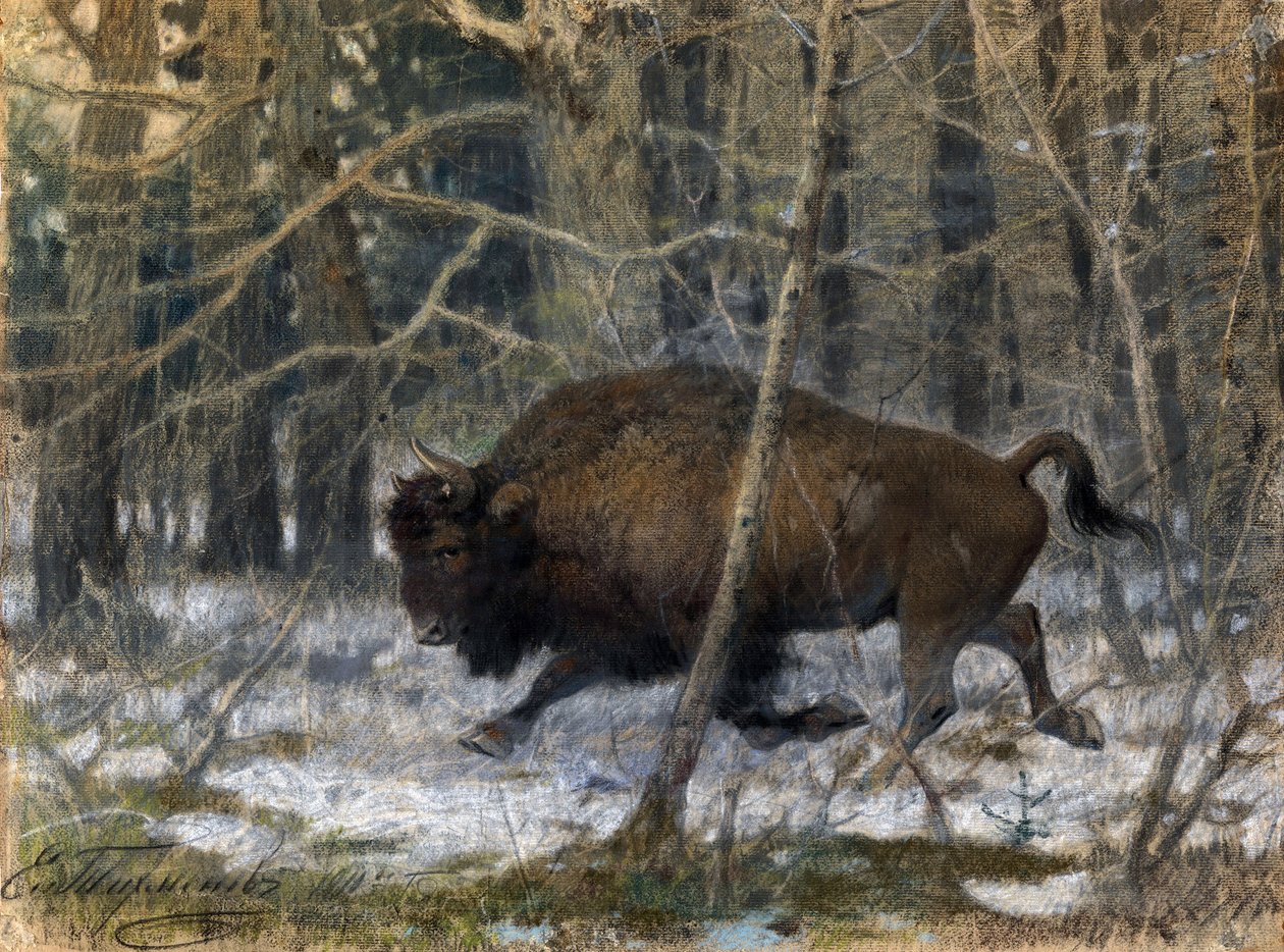 ""dřevěný bizon"" Pastelový obraz od Jevgenije Alexandroviče Tichmeněva (Tichmenev) (1869-1934) 1910 Soukromá sbírka od Evgeny Alexandrovich Tikhmenev