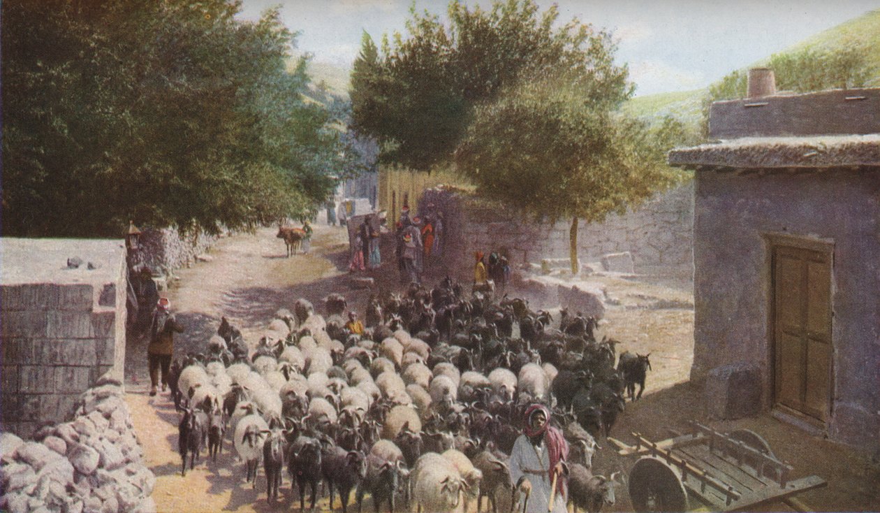 Palestina, 30. léta 20. století od Ewing Galloway