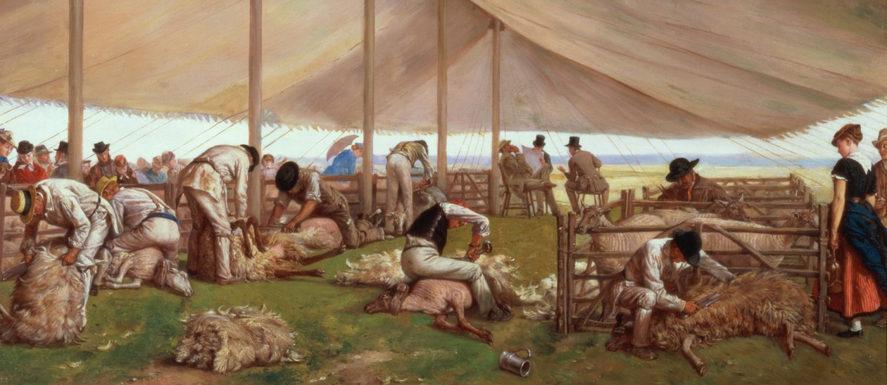 Zápas ve stříhání ovcí, 1875 od Eyre Crowe