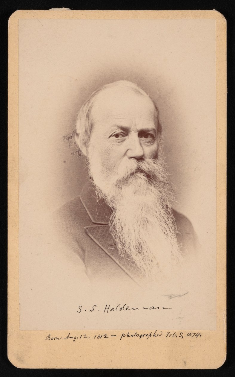 Portrét Samuela Stehmana Haldemana 1812-1880, 5. února 1874. od FA Wenderoth and Co