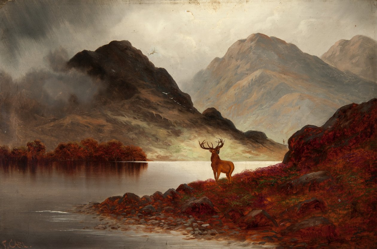 Stag at Bay (olej na plátně) od F. Carl