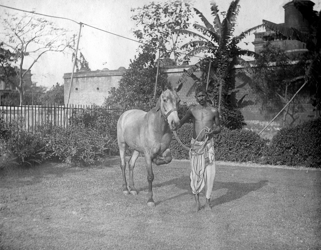 Muž s koněm, Alipore, Indie, 1905-1906 od F. L. Peters