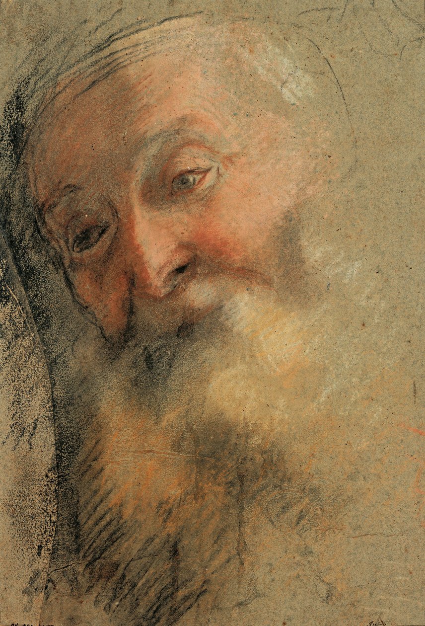 Hlava starého vousatého muže, 1584-1586 od Federico Barocci