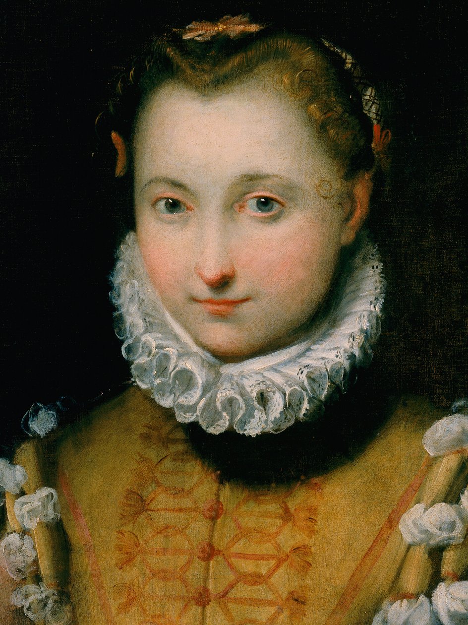 Portrét mladé ženy od Federico Fiori Barocci or Baroccio
