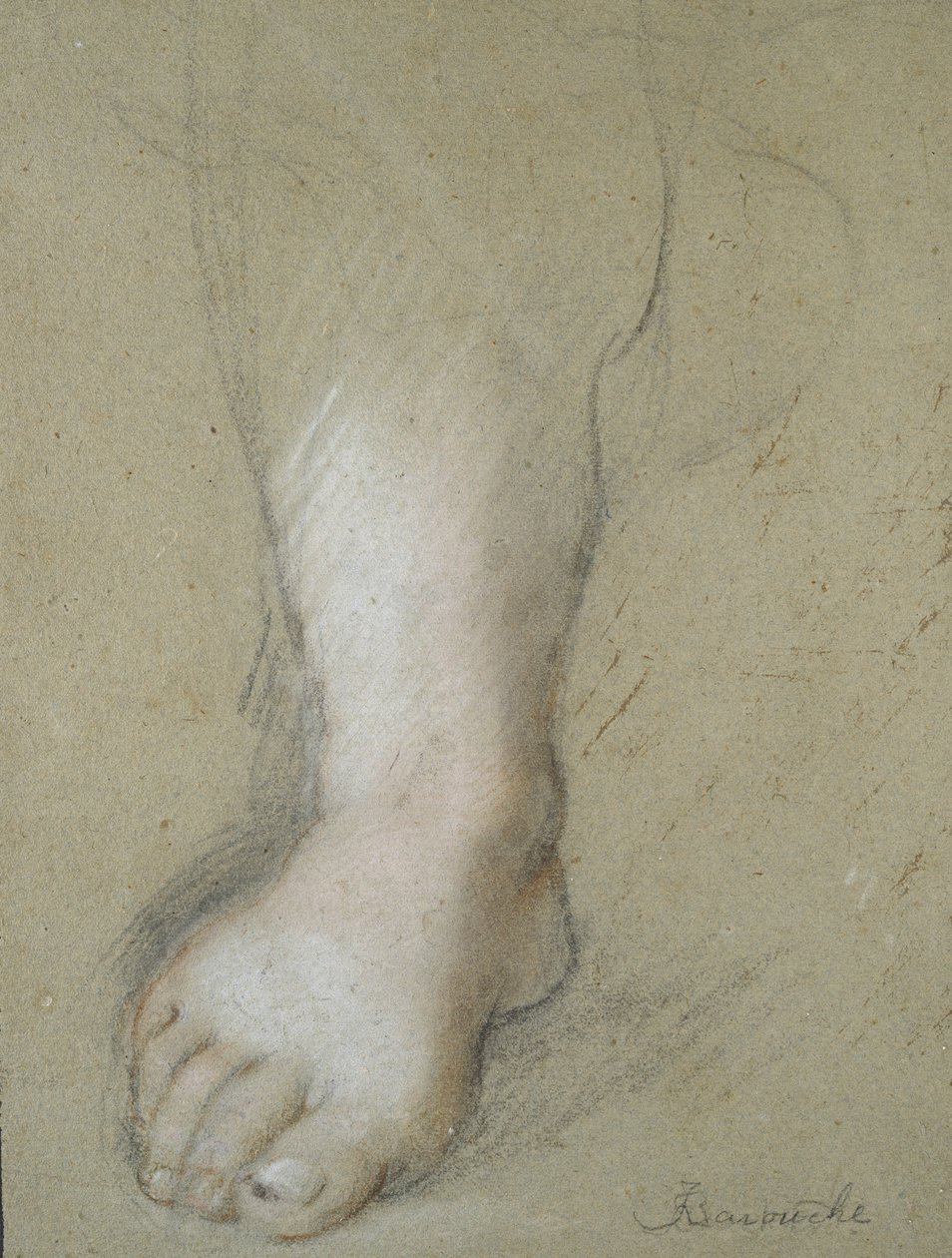 Studie nohy (černé, červené, růžové a bílé křídy na šedavém papíře) od Federico Barocci