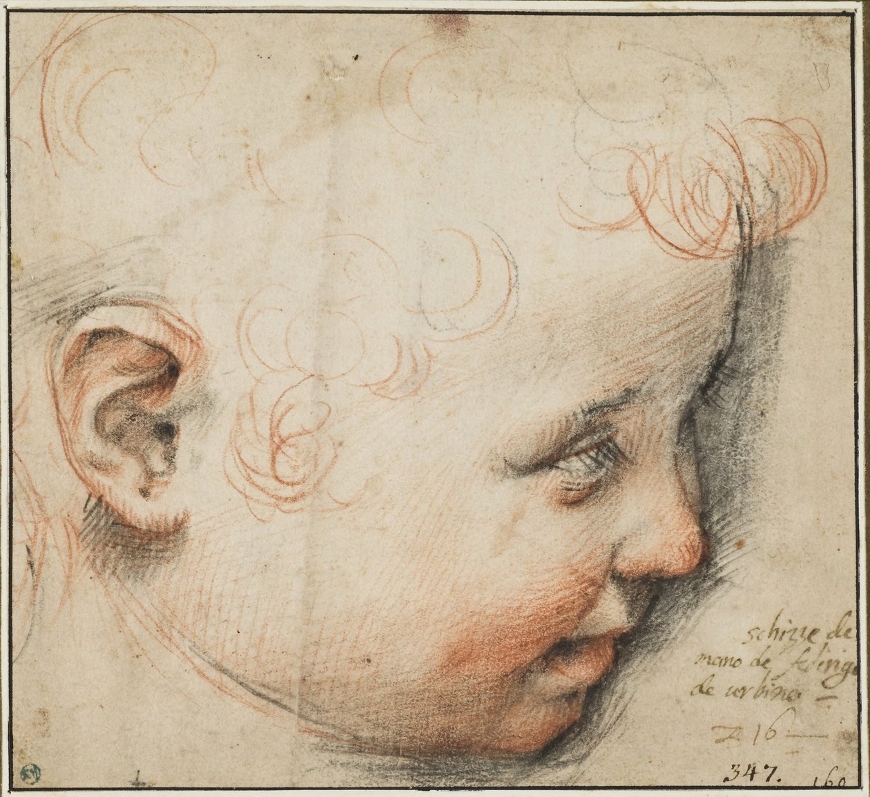 Dětská hlava z profilu; snad pro Ježíška od Federico Barocci