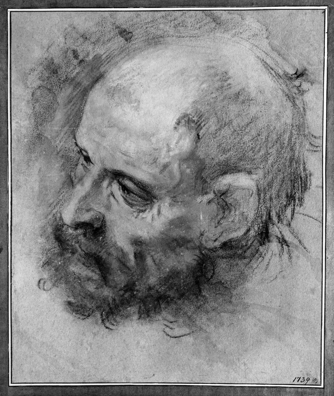 Studie hlavy vousatého muže obráceného doleva a nakloněného do strany od Federico Barocci
