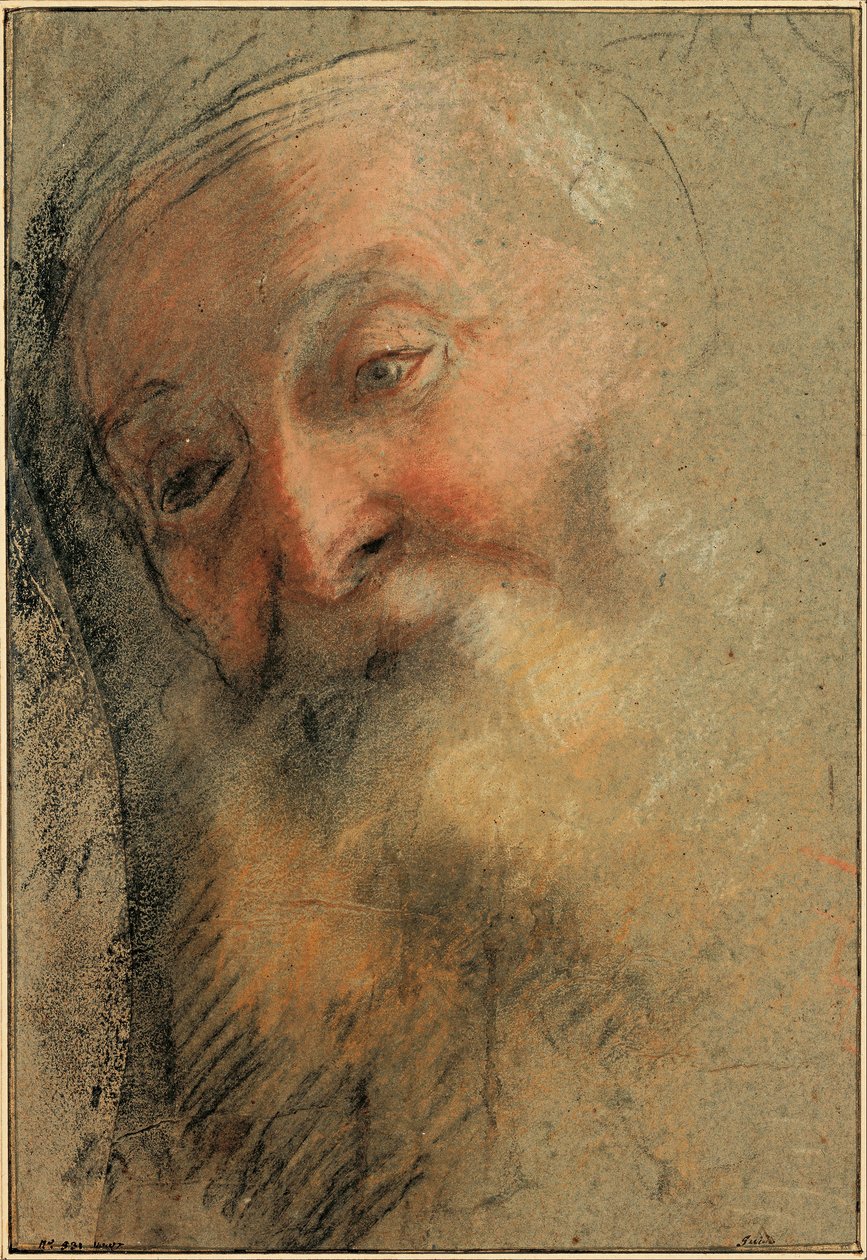 Hlava starého vousatého muže od Federico Barocci