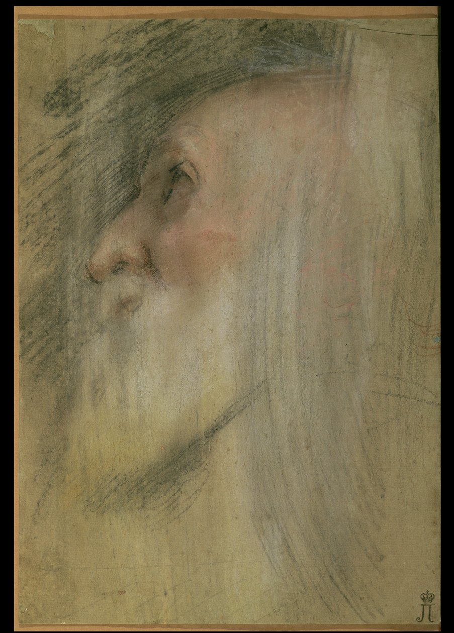 Hlava starce z profilu, asi 1575-9 (pastel, černá křída a sangvina) od Federico Barocci