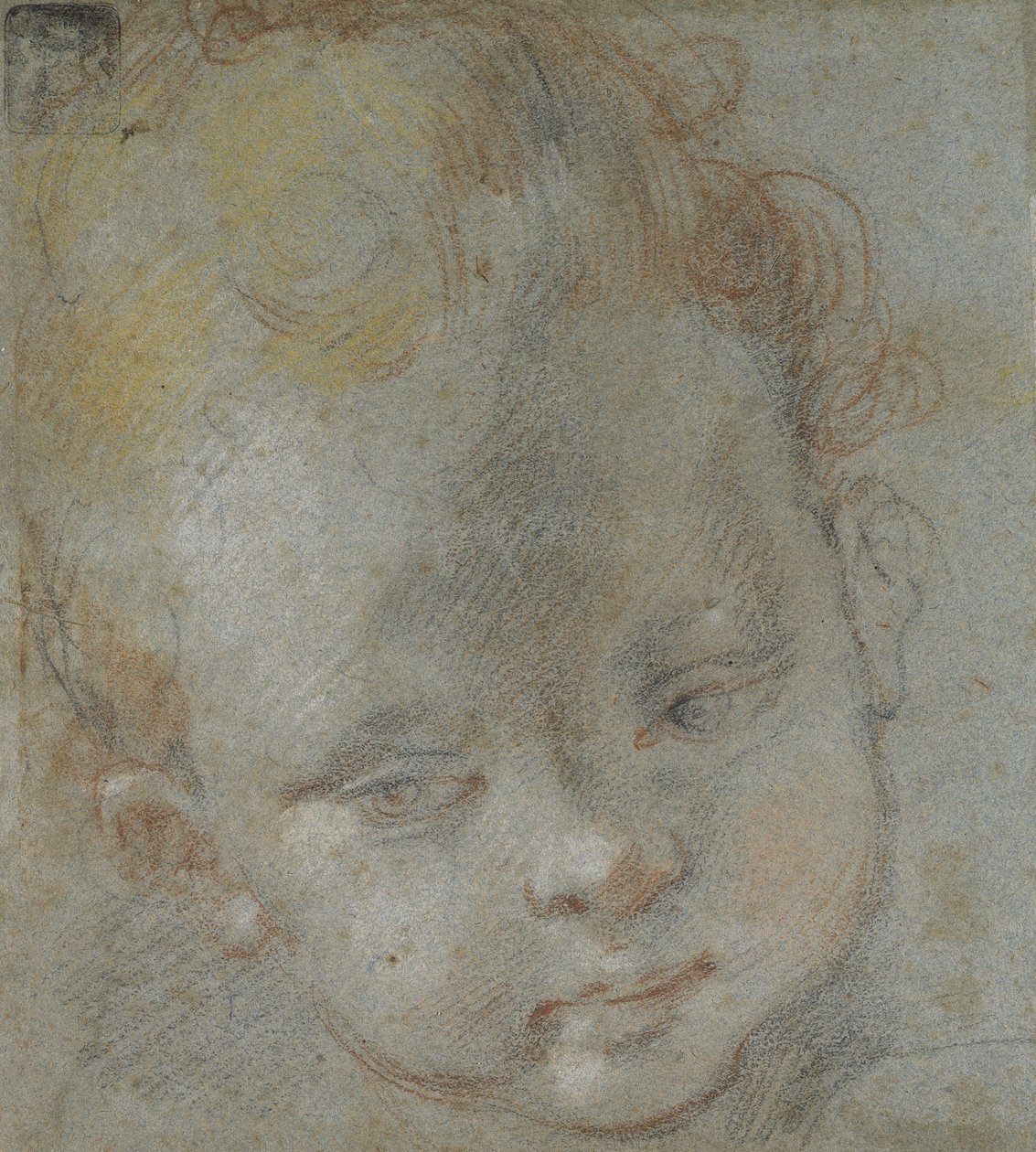 Recto: Hlava dítěte (černé, červené, bílé, růžové a žluté křídy na modrošedém papíře) od Federico Barocci