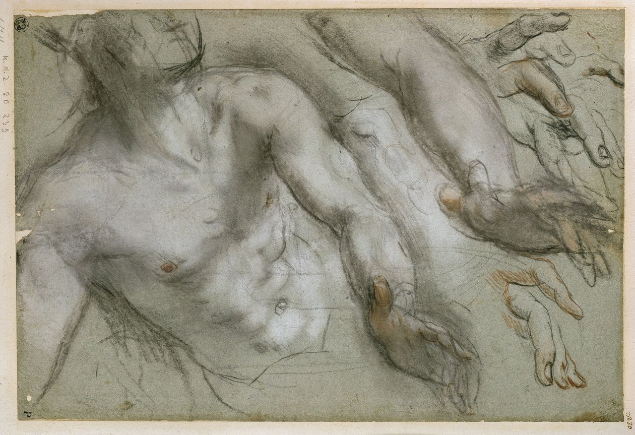 Studie postavy světce pro obraz „Mučednictví svatého Vitala“ od Federico Barocci