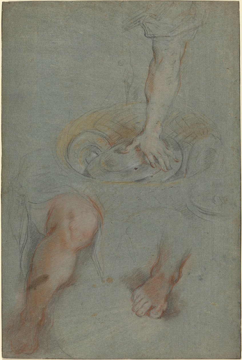 Studie pro služebníka v "Poslední večeři" od Federico Barocci