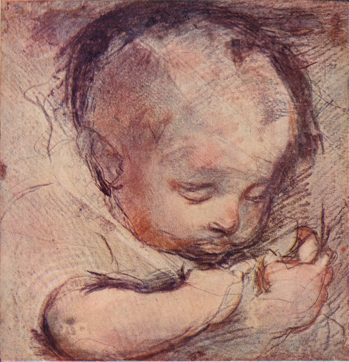 Studie spícího dítěte, c16. století, 1903 od Federico Barocci