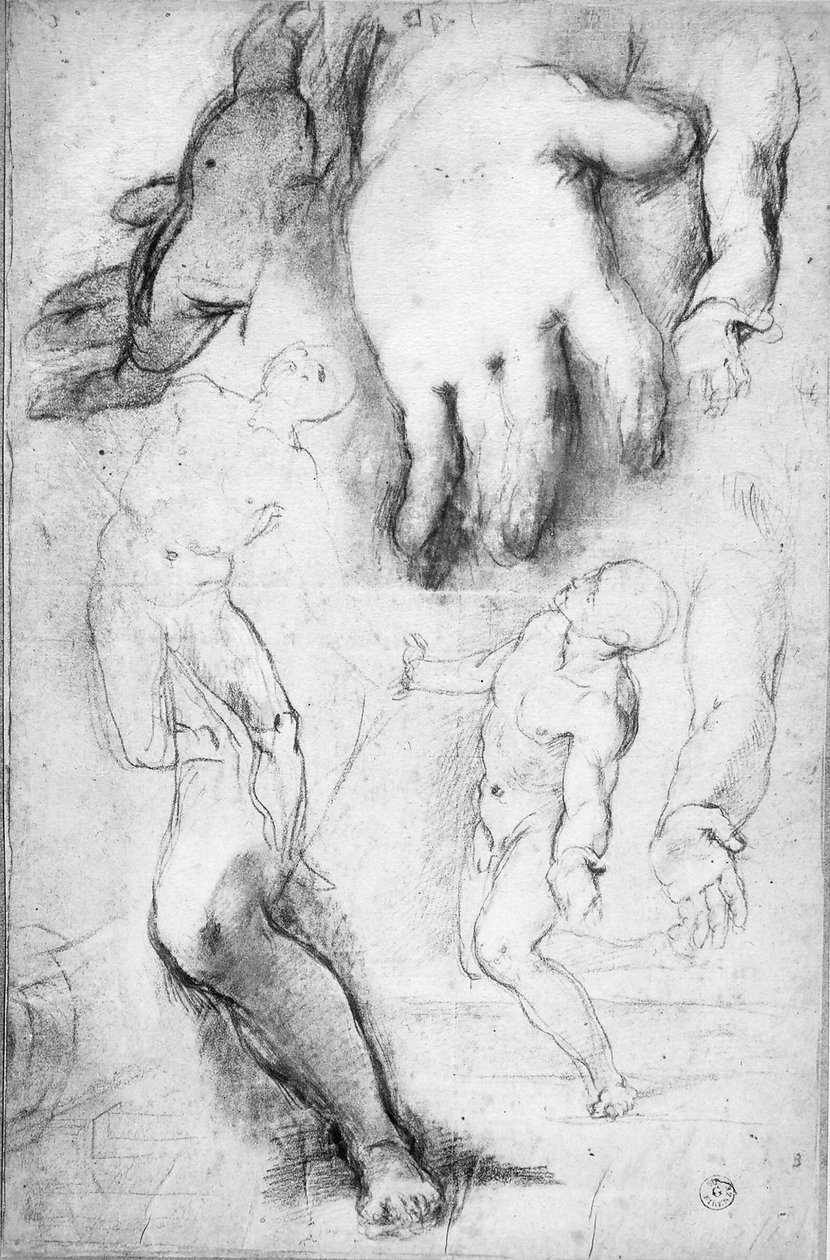 Studie k postavě sv. Františka (křída na papíře) od Federico Fiori Barocci or Baroccio