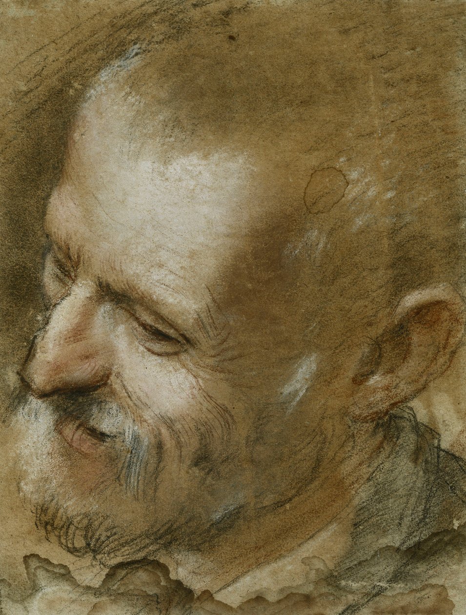 Studie hlavy vousatého muže otočené doleva, 1590 od Federico Fiori Barocci or Baroccio