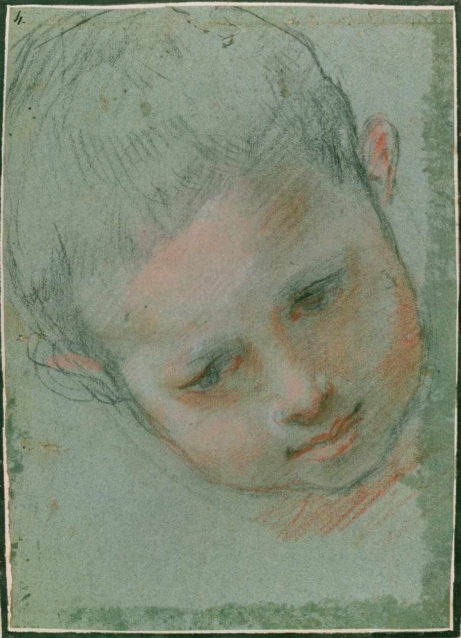 The Head of a Boy, c.1586-89 černá, červená, bílá a tělová křída) od Federico Fiori Barocci or Baroccio