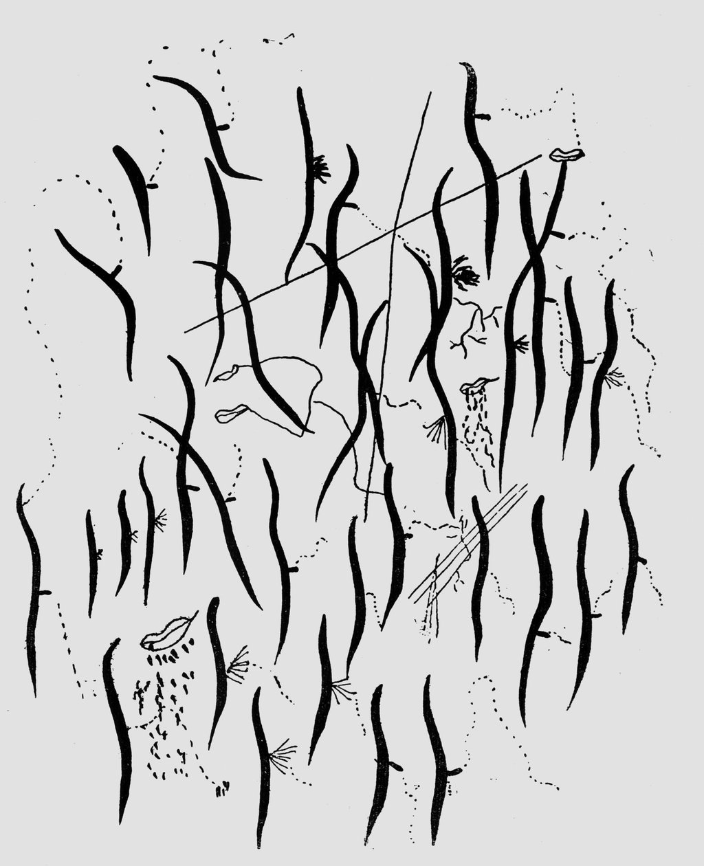 Parque, ilustrace z 