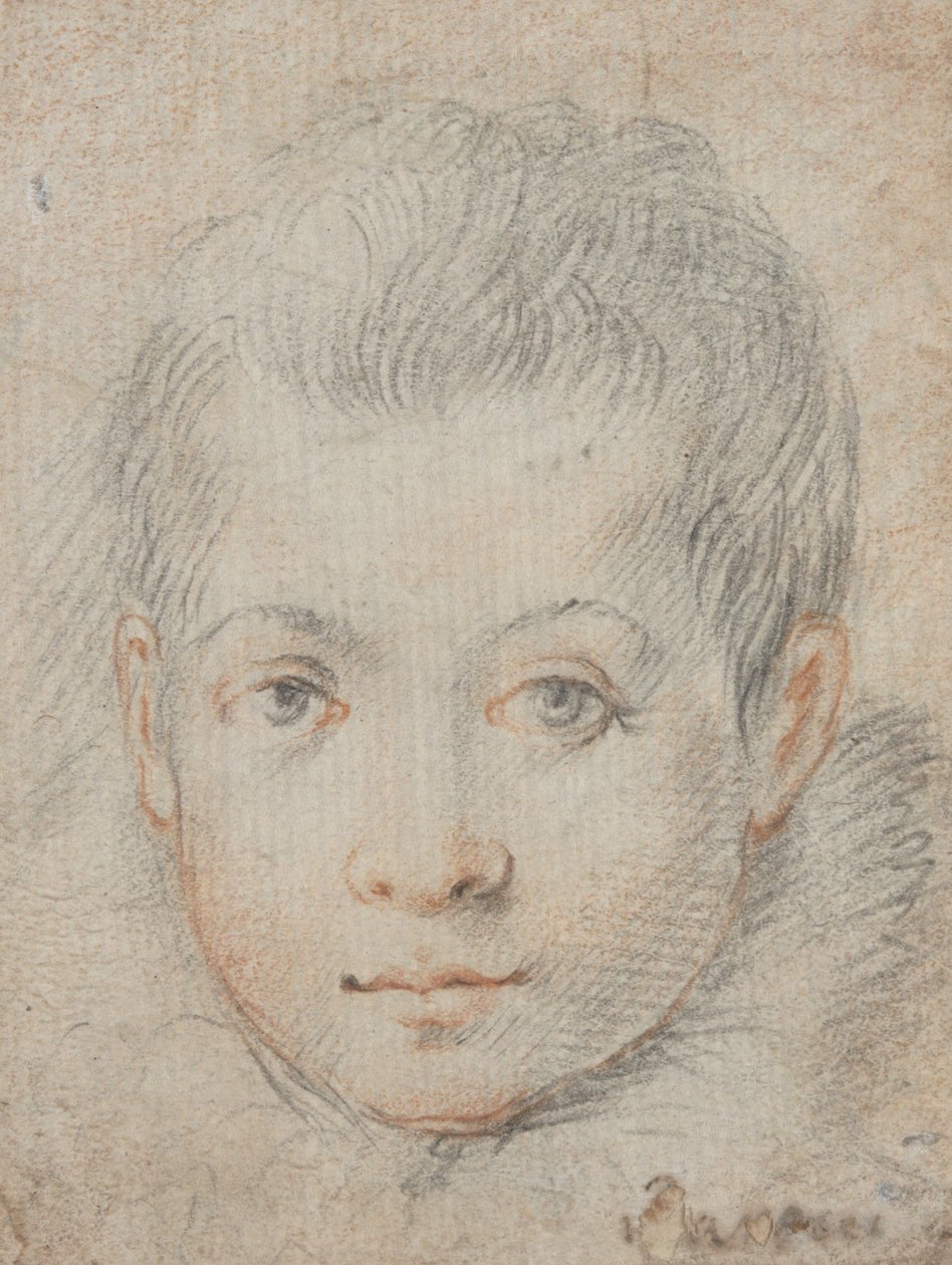 Hlava chlapce od Federico Zuccaro