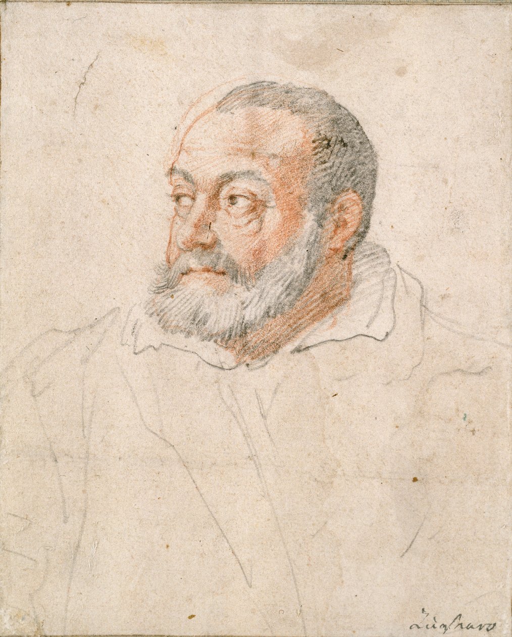 Portrét muže, Barozzi da Vignola, 16. století od Federico Zuccaro