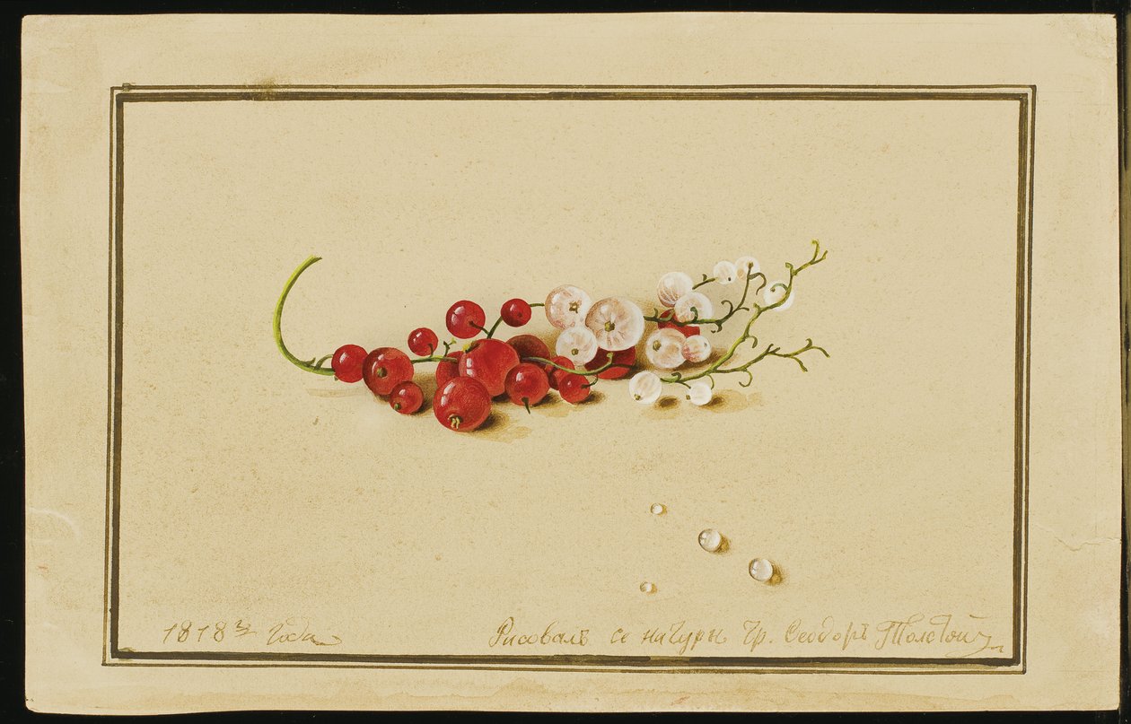 Červený a bílý rybíz, 1818 od Fedor Petrovich Tolstoy