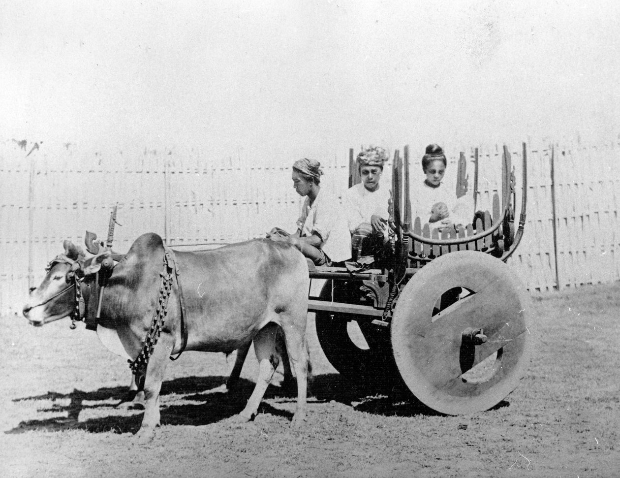 Barmský kočár, cca 1870-80s od Felice Beato