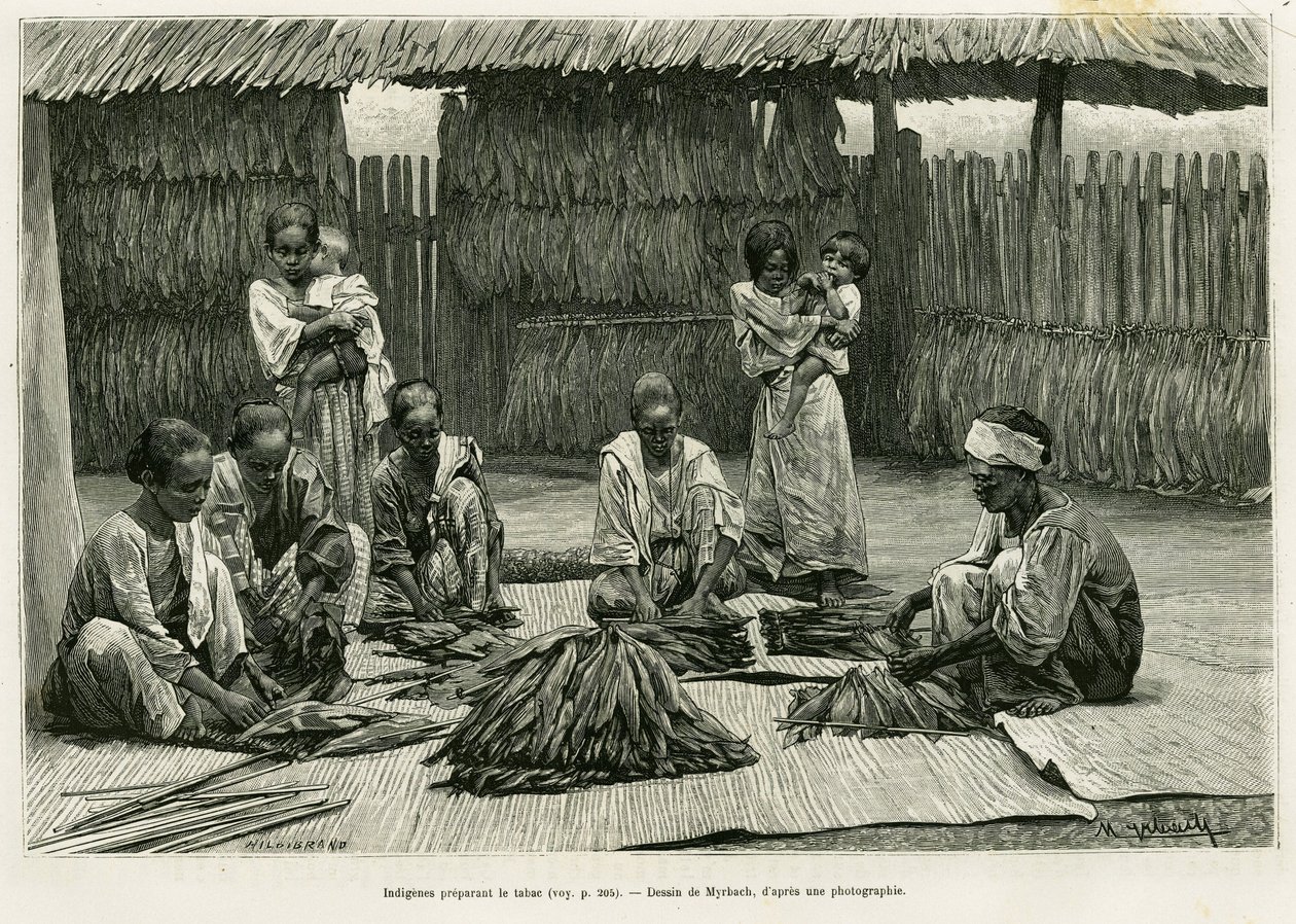 Domorodí lidé vyrábějící tabák. Rytina od Myrbach k ilustraci příběhu Lucon a Palaouan, šest let na Filipínách, Alfred Marche (1844-1898), v le tour du monde 1886, režie Edouard Charton (1807-1890), Hachette, Paříž. od Felicien baron de Myrbach Rheinfeld