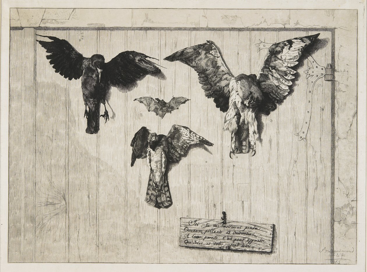 Horní část dveřního panelu, 1852-1865 od Felix Bracquemond