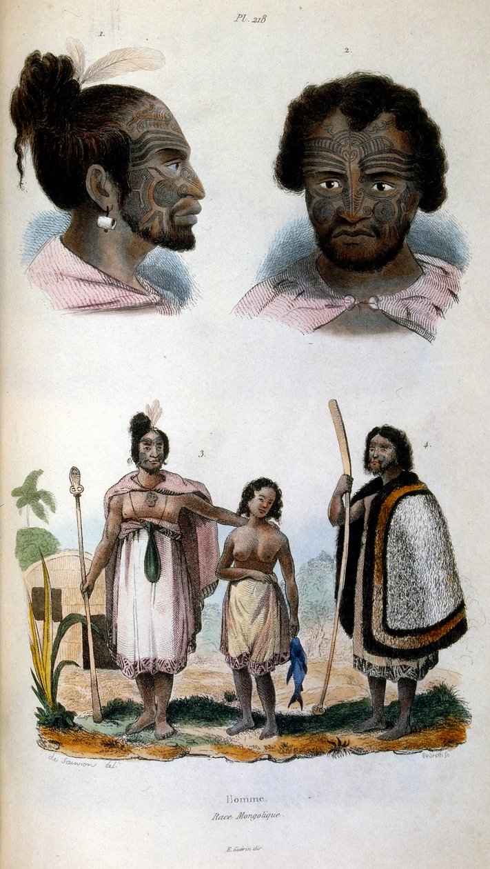 Antropologická ilustrace zobrazující rasu Maorů od Felix-Edouard Guerin