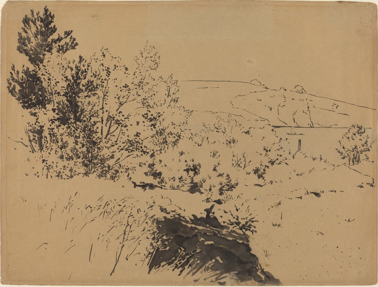 Pobřežní krajina od Felix Bracquemond