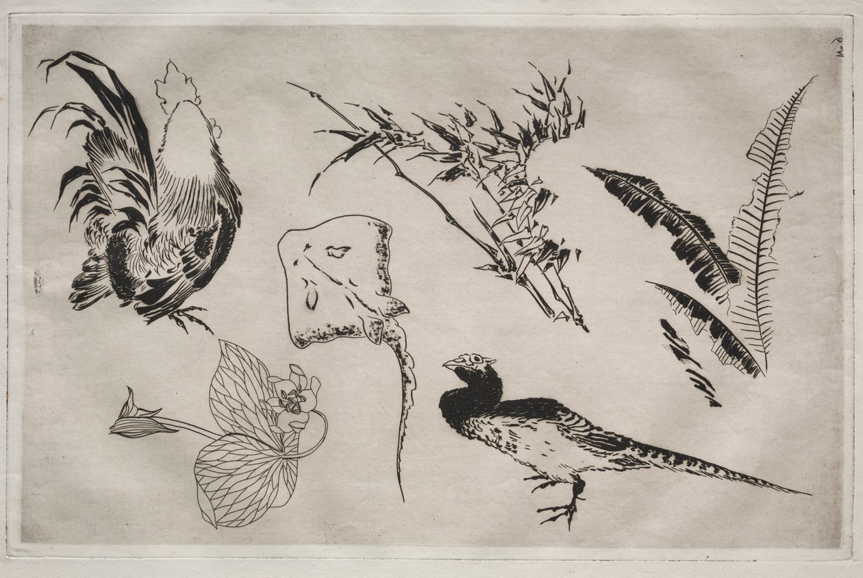 Večeře Služba Rousseau: Kohouti, skate, rostliny atd. ne. 9, 1866. od Felix Bracquemond