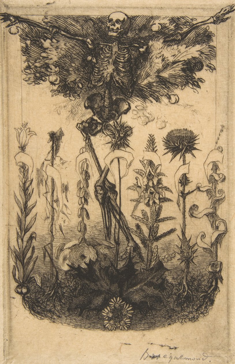 Frontispis pro Květiny zla, 1857. od Felix Bracquemond