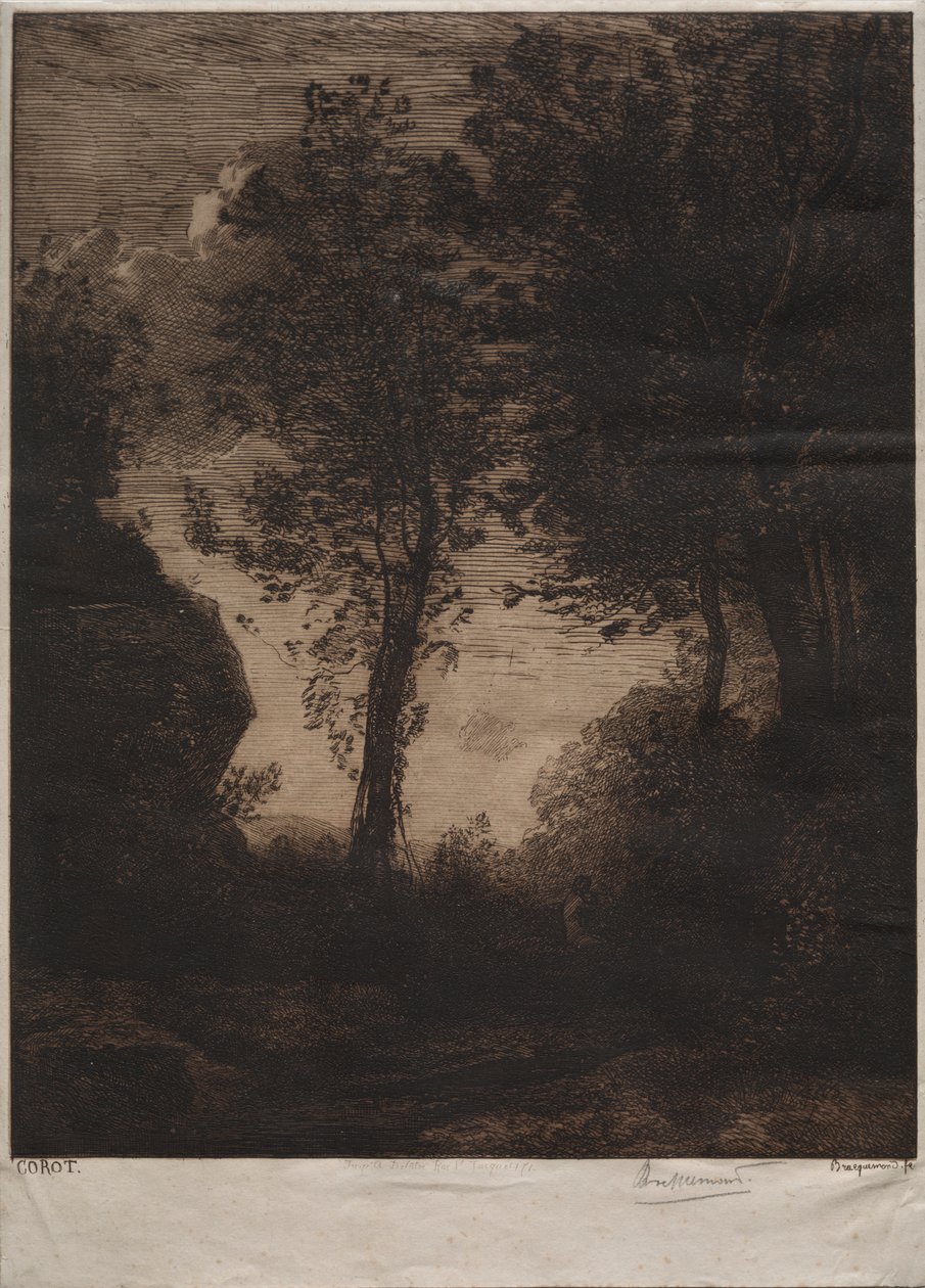 Krajina: Západ slunce, po Corot od Felix Bracquemond