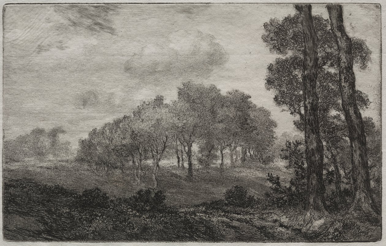 Krajina, po francouzsky od Felix Bracquemond